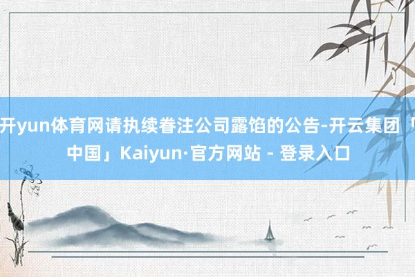 开yun体育网请执续眷注公司露馅的公告-开云集团「中国」Kaiyun·官方网站 - 登录入口