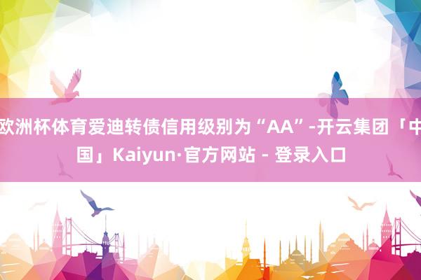 欧洲杯体育爱迪转债信用级别为“AA”-开云集团「中国」Kaiyun·官方网站 - 登录入口