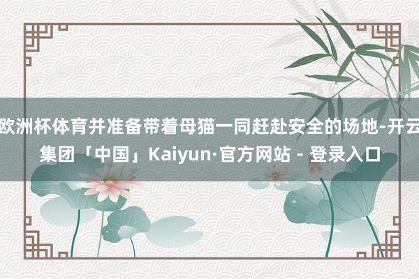 欧洲杯体育并准备带着母猫一同赶赴安全的场地-开云集团「中国」Kaiyun·官方网站 - 登录入口
